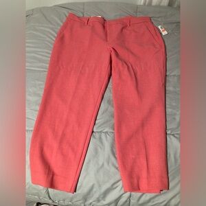 Harper Men's Coral Chinos